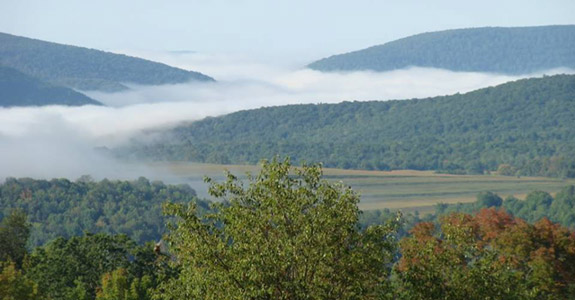 Best Campground near Tioga Hammond Cowanesque Lakes